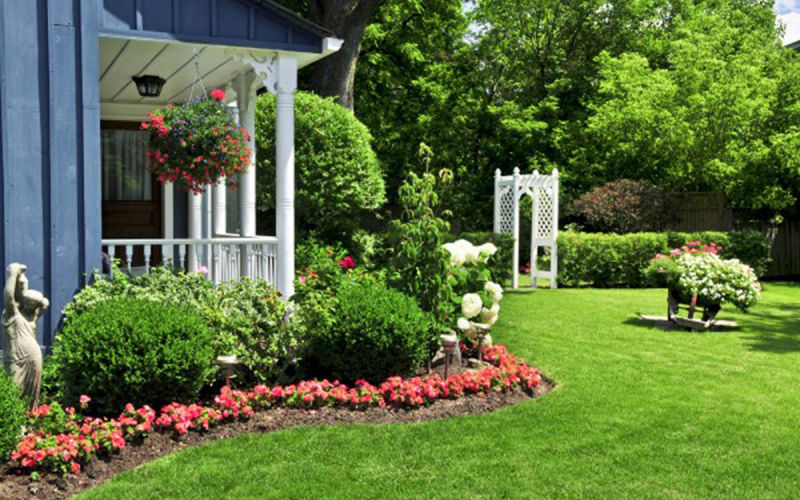 Lawn Treatment Service 
