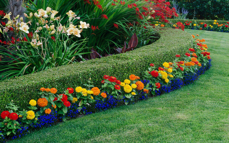 Shrub Pruning