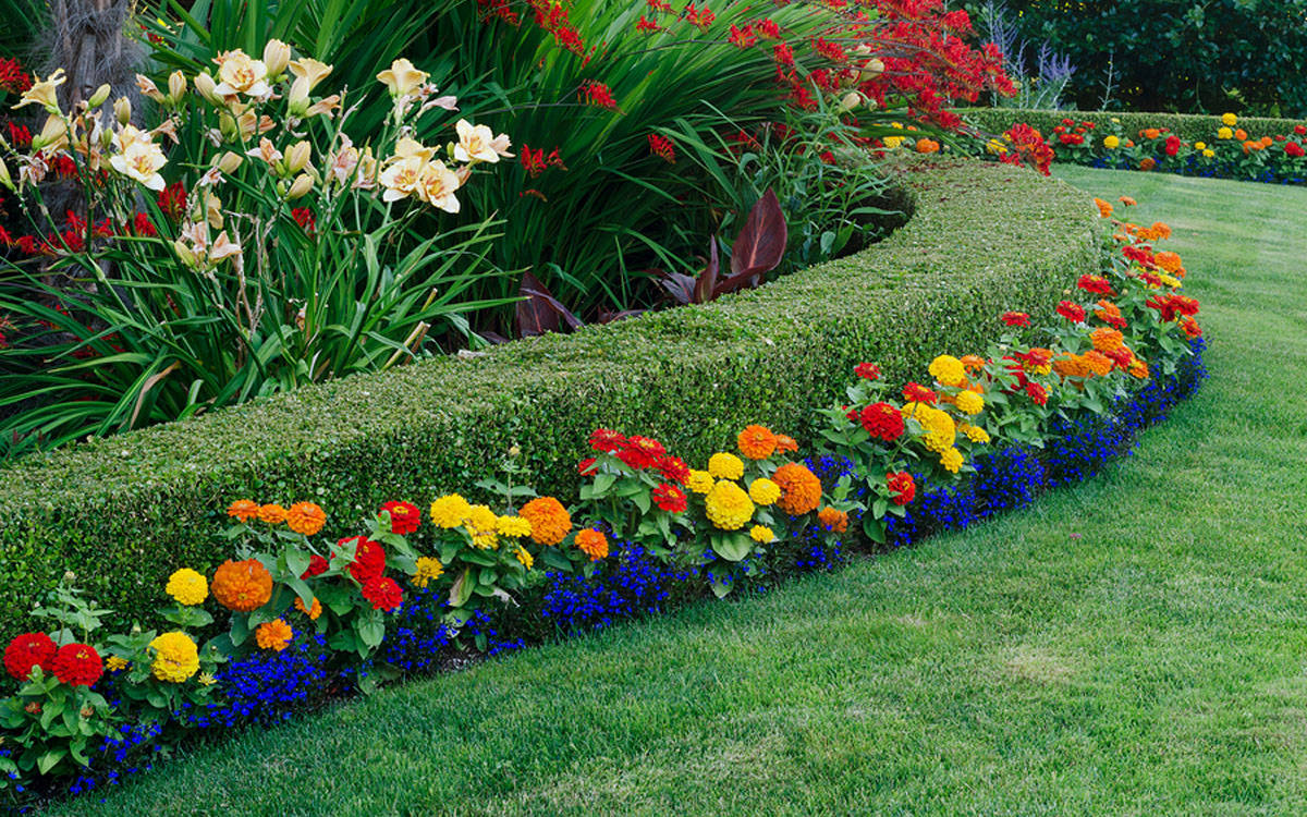 Shrub Pruning
