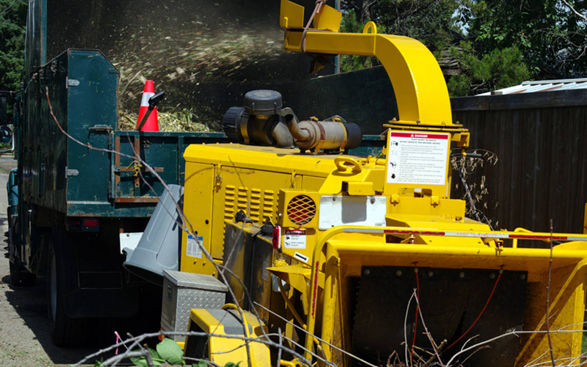 Chipping Service
